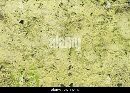 Grunge rough background. Distressed green concrete wall retro texture. Hi res background. Stock Photo