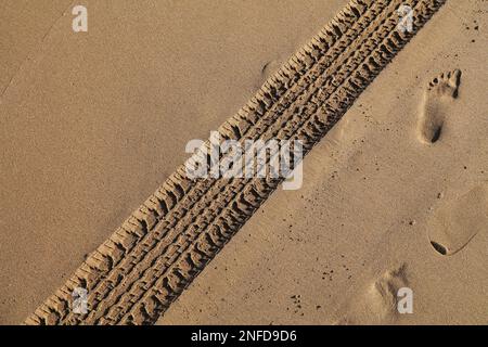 Car tyre tracks on beach sand in Morocco. Stock Photo