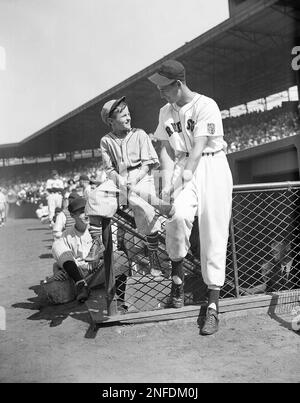 https://l450v.alamy.com/450v/2nfdm0j/ted-williams-red-sox-left-fielder-and-star-hitter-talks-things-over-with-dinny-glynn-the-kid-who-won-a-base-running-contest-prior-to-the-cleveland-boston-game-at-fenway-park-in-boston-mass-aug-27-1942-ap-photo-2nfdm0j.jpg