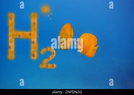 renewable pure energy orange h2 hydrogen and two orange mask ...