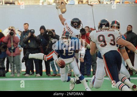 Trace Armstrong of the Chicago Bears reacts after a play against