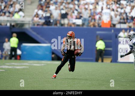 Wide receiver T.J. Houshmandzadeh of the Cincinnati Bengals shushes