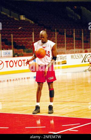 Chicago bulls cheap 1995 record