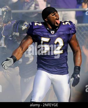 Baltimore Ravens Ray Lewis (52) sticks out his tongue during an NFL  wild-card playoff football game in Foxborough, Mass., Sunday, Jan. 10,  2010. (AP Photo/Charles Krupa Stock Photo - Alamy