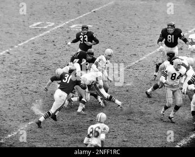 Paul Hornung (5), Green Bay Packers halfback, finds running room for a  six-yard gain against the Chicago Bears in third quarter in Chicago, Dec.  4, 1960. Packers guard Fred Thurston (36) blocks