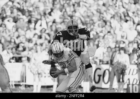 Oakland Raiders defensive back Lester Hayes, his hands covered with mud,  gets a towel in fourth quarter on Sunday, Dec. 28, 1980 in Oakland, after  scoring on an intercepted Ken Stabler pass to get Raiders a 27-7 AFC  Wildcard win over the Houston