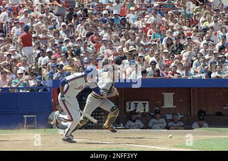 New York Mets starting pitchers from left, David Cone, Bob Ojeda, Sid  Fernandez, Ron Darling, and Dwight Gooden at the spring training baseball  facility in Port St. Lucie, Florida on March 12