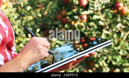 close up, female business farmer or agronomist working in the apple garden, makes notes on a tablet for better quality control, Focused on work.. Smart farming and digital agriculture concept. High quality photo Stock Photo