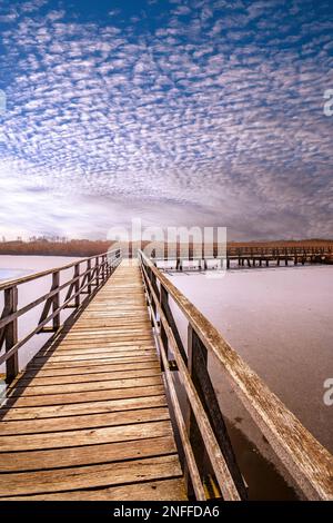 BADEN-WUERTTEMBERG : BAD BUCHAU - FEDERSEE - FEDERSEESTEG Stock Photo