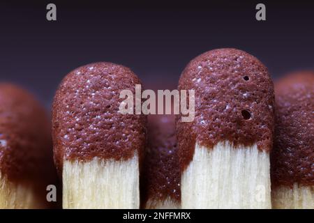 Macro shot of a wooden matchstick. Microscopic world. Macro focus stacking Stock Photo