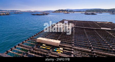 Mussel Aquaculture Rafts Batea, Mussel Growing Sea Platform, Batea Mussel Farms, Ría de Arousa, Arousa Estuary, Pontevedra, Galicia, Spain, Europe Stock Photo