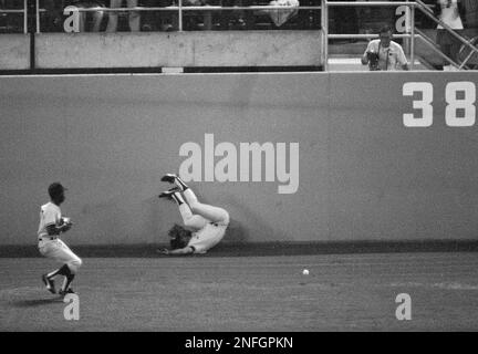 Sweet Lou Piniella has a bit of a scuffle at home plate with umpire Ron  Luciano at Yankee Stadium in 1978. Piniella would bat .314 that year with  34 doubles as the