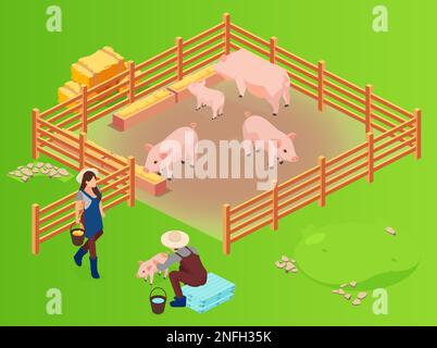 Isometric vector of a pig farm and farmenrs with pink growing piglets being fed Stock Vector