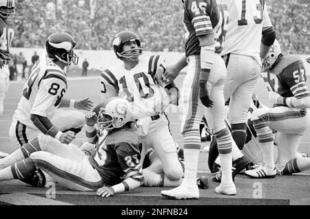 Minnesota Vikings Fran Tarkenton (10) is sacked by Los Angeles Rams Cody  Jones (76) and Mike Fanning (79) late in the third quarter in Los Angeles,  Jan. 1, 1979. Rams beat the