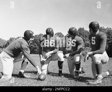 New York Giants Mel Hein, left and Kayo Lunday, right, of offer a bit of  advice to Chester Gladchuk (26) All-American center of the Boston College  team last, year, and Louis P. DeFilippo, (55) star pivot of the Fordham  University Rams, who have donned