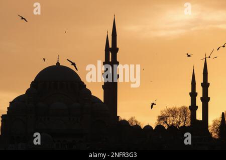 Sunset reverse light with mosque silhouette and seagulls. Mosque Ramadan concept. Eid Mubarak photo concept. Selective focus. Open space area. Stock Photo