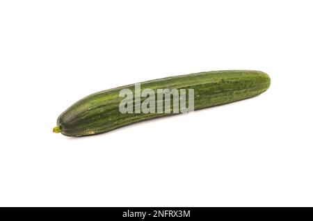A green cucumber or cucumber as a healthy vegetable isolated against a white background in the studio Stock Photo