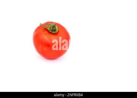 A distinctive red vine tomato with a stem as a popular and healthy vegetable isolated against a white background Stock Photo