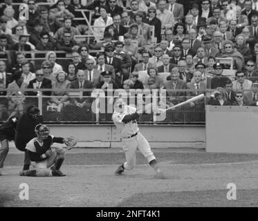 Ron Swoboda, NY Mets spring training camp. St. Petersburg, Florida