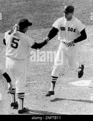 Boston Red Sox outfielder Tony Conigliaro in a Vintage Portrait