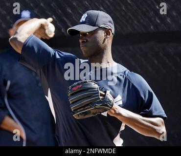 Toronto Blue Jays pitcher LaTroy Hawkins (32) during game against the New  York Yankees at Yankee