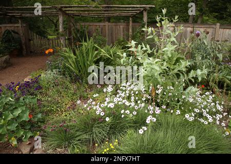 Willowwood Cottage Garden.  Arrangements of flowering plants with gravel pathways, arbors and wooden fence.  Mass of white blooms. Stock Photo