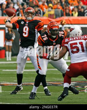 Cincinnati Bengals' Darryl Blackstock, left, talks with New