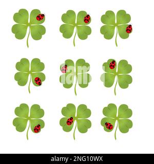 Vector with clover leaf and ladybug; vector illustration Stock Vector