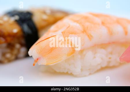 Two shrimp nigiri sushi sushi with eel on white background with reflection. High quality photo Stock Photo