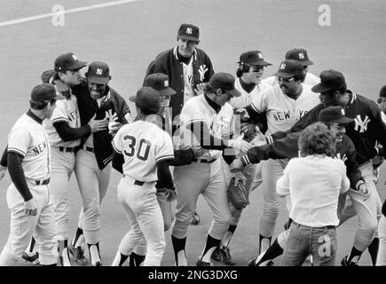 Graig nettles hi-res stock photography and images - Alamy