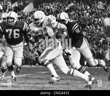 A photograph on display of former Miami Dolphins running back Jim Kiick,  full back Larry Csonka, center, and running back Mercury Morris, right, at  Independence Hall assisted living facility in Wilton Manors