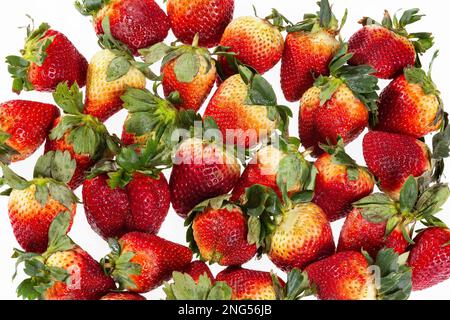 Fragaria - Tasty And Healthy Strawberries; photo on white background Stock Photo