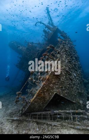 Giannis D. shipwreck, Abu Nuhas, Shedwan Island, El Gouna, Wreck Diving, Egypt, Red Sea, Indian Ocean Stock Photo