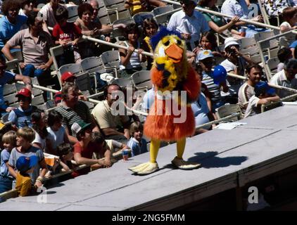 The former San Diego Chicken performs for fans at Shea Stadium