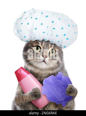Cute funny cat with shower cap and different accessories for bathing on white background Stock Photo