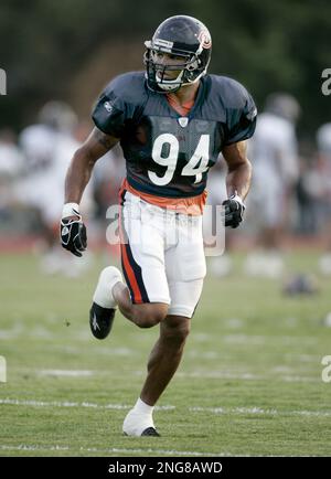 Chicago Bears special teams player Brendon Ayanbadejo (94) pumps