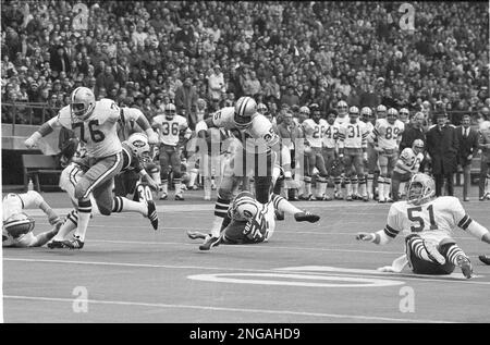 Calvin Hill (35) Dallas Cowboys running back fumbles the ball in