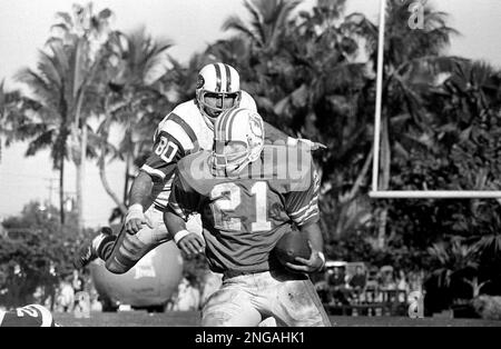 Miami Dolphin back Jim Kiick (21) seems totally unaware that he is about to  be trounced by New York Jets John Elliott (80) during action in their AFL  game Sunday afternoon Dec. 16, 1968 in Miami's Orange Bowl. The Jets won  31-7. (AP Photo Stock Photo