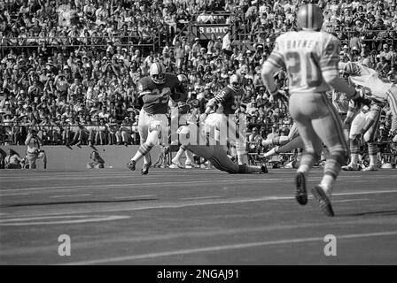 Larry Brown, running back for the Washington Redskins, is shown in 1973.  (AP Photo Stock Photo - Alamy