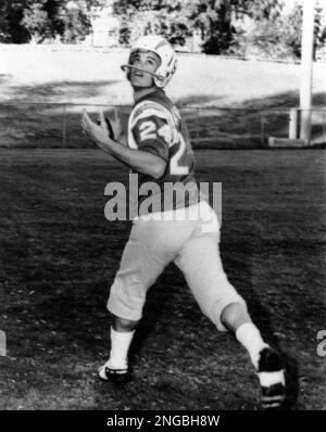 San Diego Chargers' wide receiver Lance Alworth (19) demonstrates his  pass-catching form, Dec. 17, 1963, in San Diego. (AP Photo Stock Photo -  Alamy