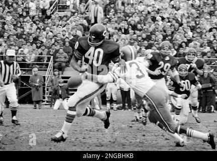 Chicago Bears' halfback Gale Sayers runs with the ball, Sept. 1968. (AP  Photo Stock Photo - Alamy