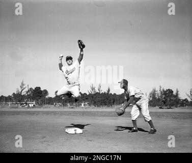 Don Zimmer Brooklyn Dodgers Cooperstown Baseball Throwback 