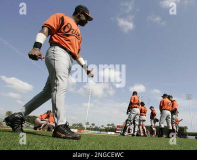 Baltimore Orioles' Sammy Sosa runs during practice Thursday, Feb. 24, 2005,  at spring training, in Fort Lauderdale, Fla. (AP Photo/Rick Bowmer Stock  Photo - Alamy