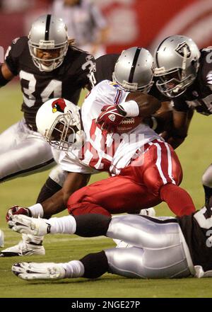 Arizona Cardinals running back Emmitt Smith smiles at teammates during the  final seconds from the sidelines against the Tampa Bay Buccaneers in this  Jan. 2, 2005 photo, at Sun Devil Stadium in