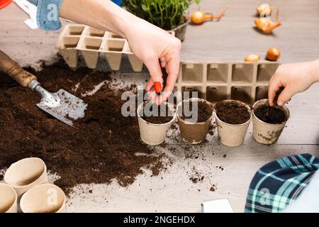Mother and child planting seeds at home in fertile black earth. In background freshly grown sprouts. Spring and gardening concept. Stock Photo