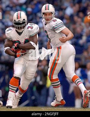 Detroit Lions defensive tackle Corey Williams (99) during an NFL football  game against the Dallas Cowboys Sunday, Nov. 21, 2010, in Arlington, Texas. The  Cowboys won 35-19. (AP Photo/Sharon Ellman Stock Photo - Alamy