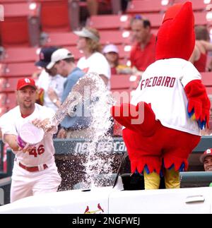 Cardinals 'Fredbird' mascot scrutinized for controversial photo