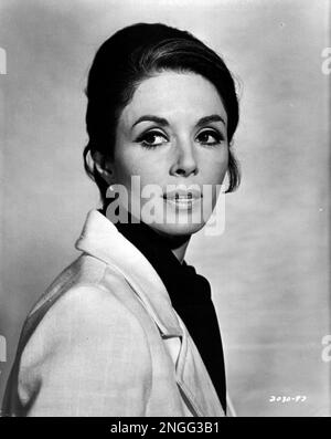 AIRPORT, Dana Wynter, 1970 Stock Photo - Alamy