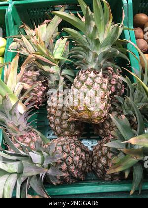 Pineapples Stock Photo
