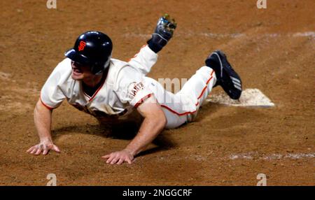 San Francisco Giants: David Bell's Slide into the World Series